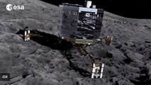 Astronomers Say Comet 67P May Be Home To Microbial Life