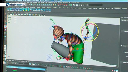 Petterson und Findus im Kino