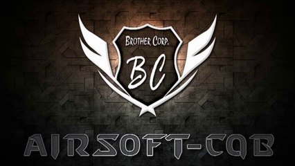 Softair/Airsoft - Hostel 08.06.2014 - Brother Corp. - Gene
