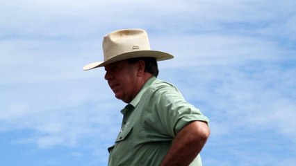 Selling Santa Gertrudis Cattle