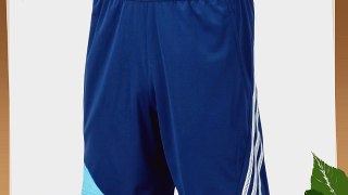 adidas Performance Mens F50 Climalite Training Shorts - Blue - Large