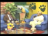 Mi Mascota TV - Entrevista con Pediatra Dr. Nelson Suero - Thema: Niños y Mascotas
