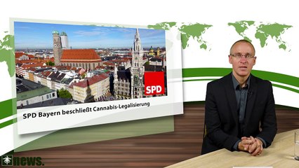 SPD Bayern beschließt Legalisierung | Bremen will Modellprojekt | DHV News #43
