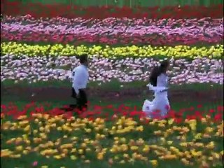 Bhanwre Ne Khilaya Phool - Rishi Kapoor - Padmini Kolhapure - Prem Rog - Bollywood Classic Songs - YouTube