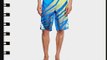 Alpinestars Men's Techstar Board Striped Swim Shorts Blue Small (Manufacturer Size:32 EU)