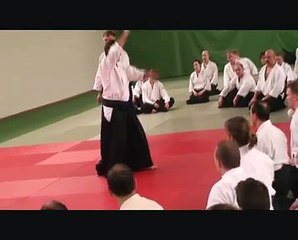 AIKIDO Christian Tissier Sensei in Sweden
