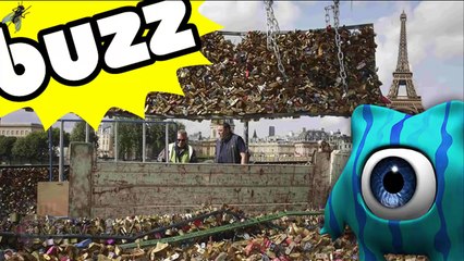 BUZZ   Fin Des Cadenas Du Pont Des Arts Paris ► Youclip.fr