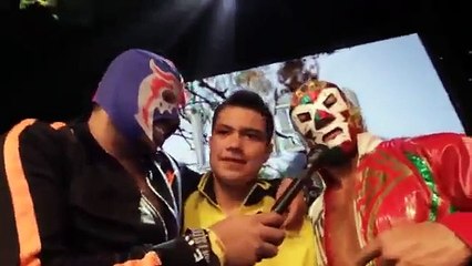 EL ESCORPION DORADO-PELUCHE EN EL ESTUCHE