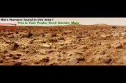Mars Gorillas, Better focus 100 humans shown