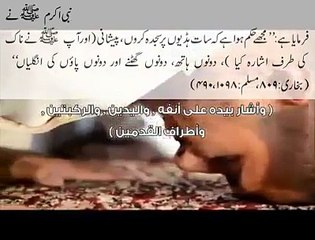 نماز کیسے ادا کی جائے۔۔۔صحیح سنت طریقہ