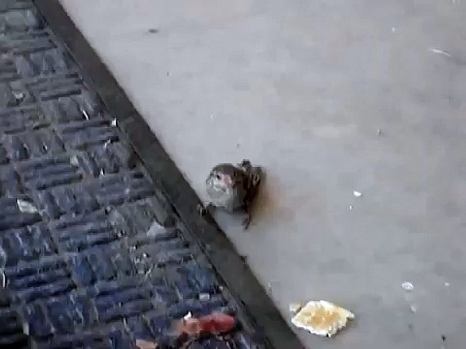 RIP Bubba