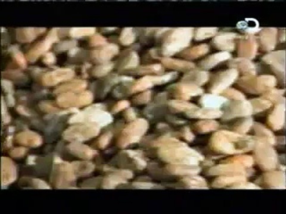 discovery channel asi se hace chocolate