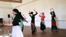 کلاس آموزش رقص سنتی ایرانی توسط رعنا گلناری