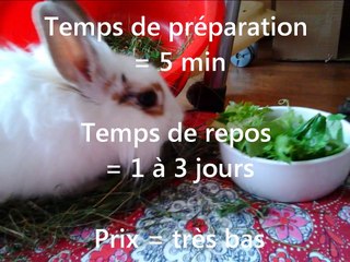 Préparer des friandises maison - Infos pratiques lapins