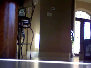 Annoying my cat with an rc car COCKPIT VIEW