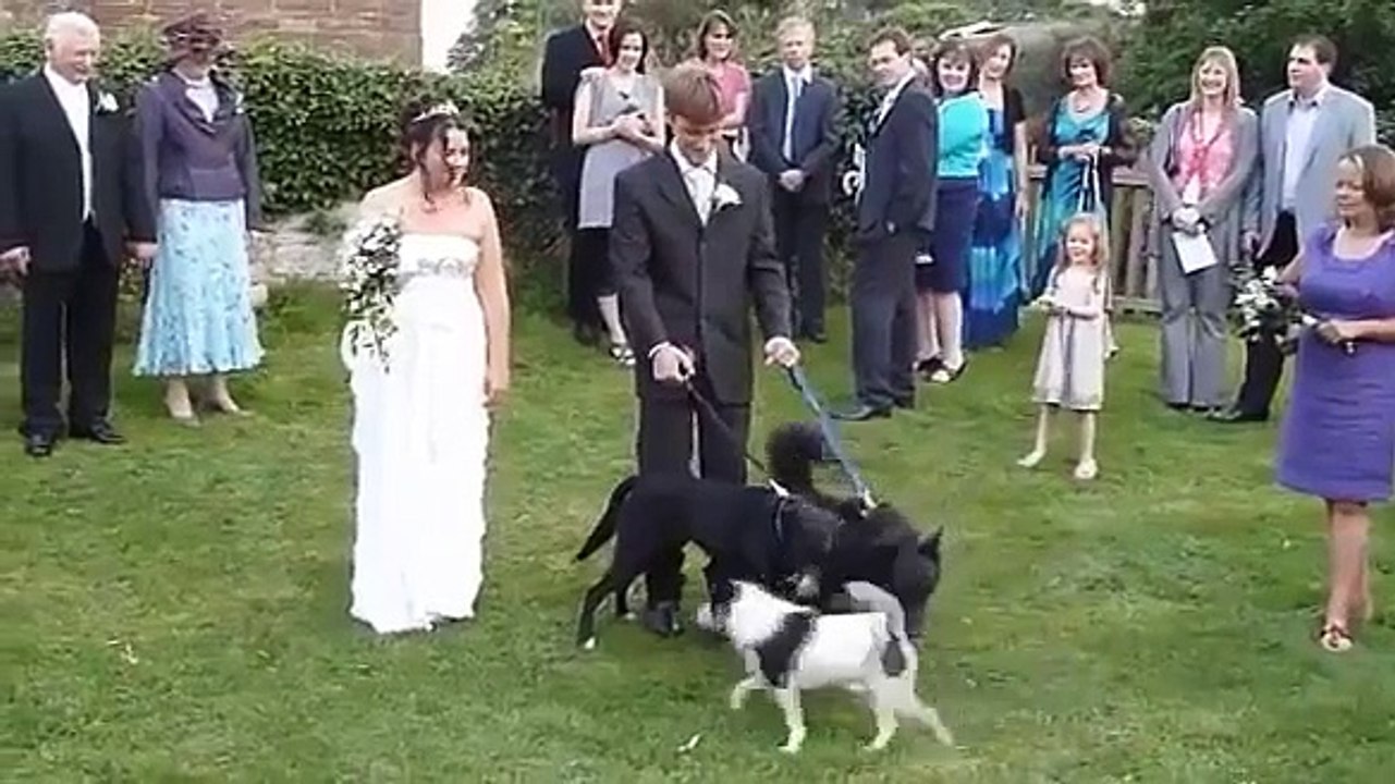 funny wedding moment