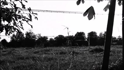 Immoral Decay official Trailer #1