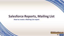 Salesforce Mailing List Report