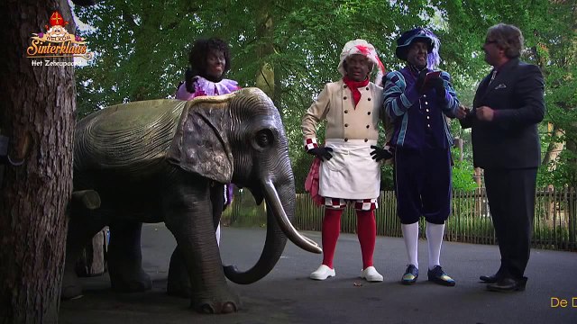 Het paard van Sinterklaas is geen ezel - Welkom Sinterklaas