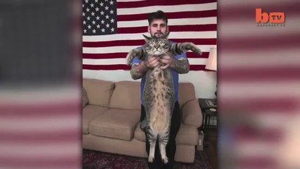 O Maior Gato Do Mundo Com 1 Metro.