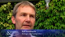 Honig aus Balkonien: Stadtimkerei in München | Schwaben & Altbayern | BR