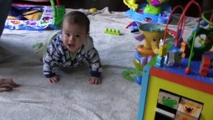 Everyone Wants to Sit in my Lap!! Linus Cat Tips