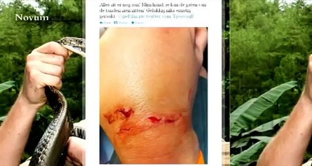 Bioloog Freek Vonk gebeten door haai