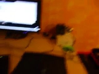 Geforce 9600M GT vs 3dfx Voodoo 5 5500