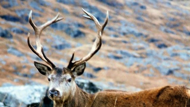 Pipes & Drums Royal Scots Dragoon Guards ~ Campbeltown Loch.