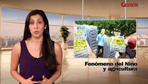 Al día con Gestión: Presencia de El Niño beneficia a 12 cultivos en la costa y tarifas eléctricas se elevan