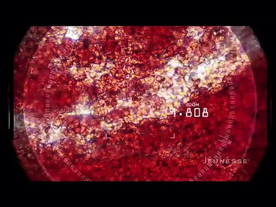 The Zen Effect - Robert Kiyosaki, Zen Bodi, Health Tips and Vines