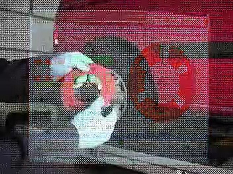 75200 / 75400 / 75800 EZ Shim Installation Vide...