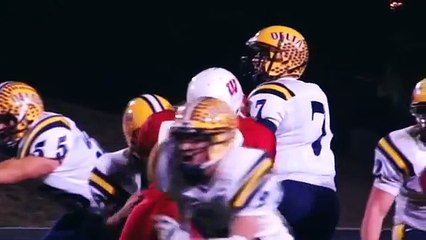 Hardest hit you'll ever see in High School Football - Delta vs Wayne - The hit
