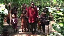 Baka Pygmy guitarists in the cameroon rainforest