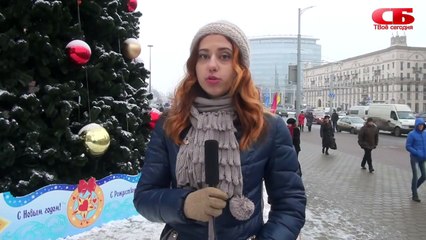 Опрос: Какую елку выбрать – натуральную или искусственную? Мнение минчан.