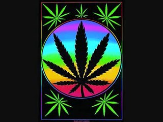 Kid Cudi ft Collie Buddz - Day N Nite Remix