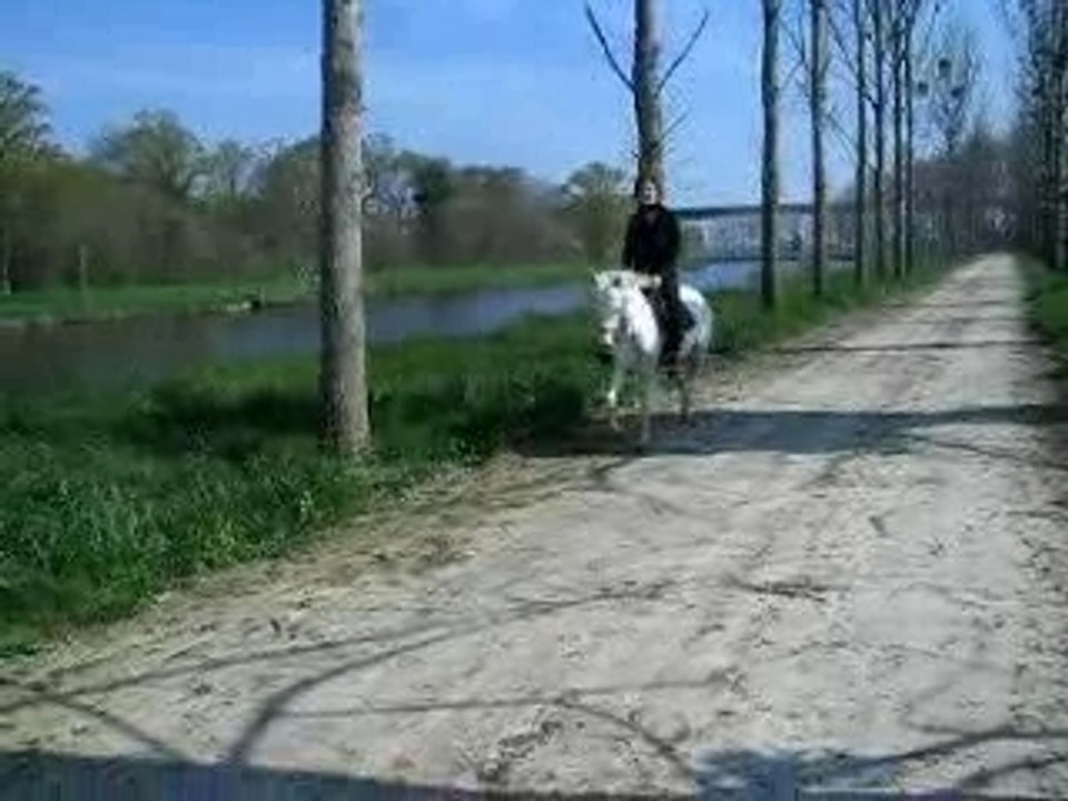 Farandole 020