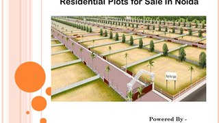 Residential Plots for sale  in Noida