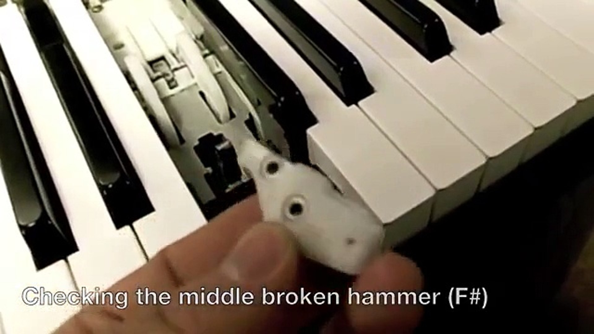 Casio Piano Spare Parts Reviewmotors.co