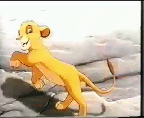 Il Re Leone - Nido del Cuculo
