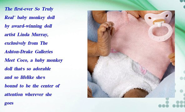 coco so truly real monkey