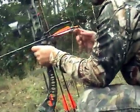 CACCIA CON L'ARCO caccia al daino alla cerca con arco compound