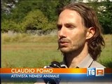 Servizio del TgR Lombardia sull'aggressione di un allevatore di visoni ai danni di due attivisti