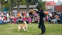 Dogdancing - vystoupení na pouti - 28. 9. 2012 (Joy, Denny, Beauty)