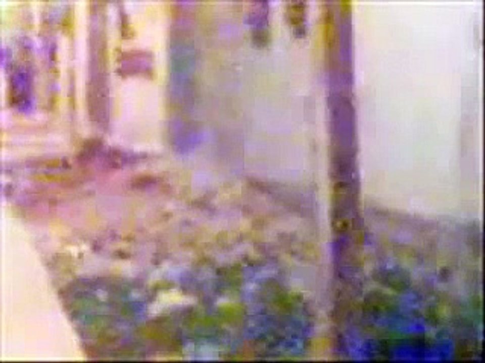 Alien Caught On Tape Lets Get Closer  Want to get close dont we all here ya go