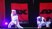 3rd Annual AX Dance K-Pop Dance Battles - J - CNSV【AX2015】Prelims