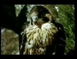 Abbey National 'Real Freedom' TV ad - 30 sec advert