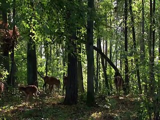 Queen - Is This The World We Created?