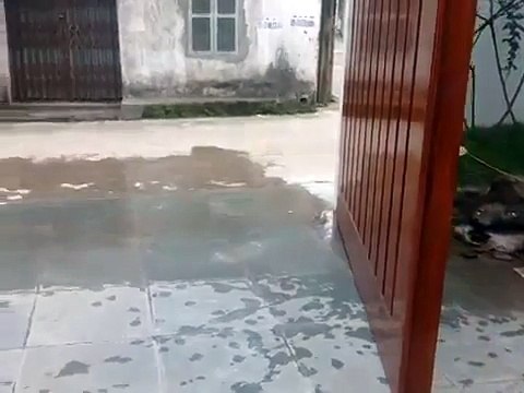 Cổng tự động cánh tay đòn FAAC 402