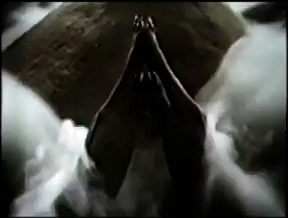 Bierritz 'Be Unusual' TV ad - 15 sec advert